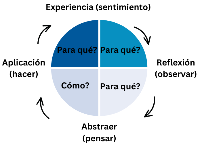 Grafische Darstellung des 4MAT-Systems mit den Wahrnehmungs- und Verarbeitungsdimensionen