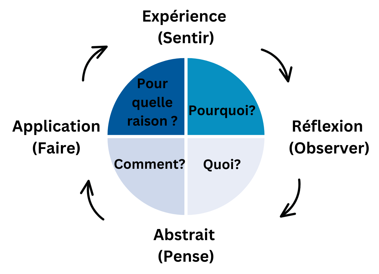 Représentation graphique du système 4MAT avec les dimensions de perception et de traitement