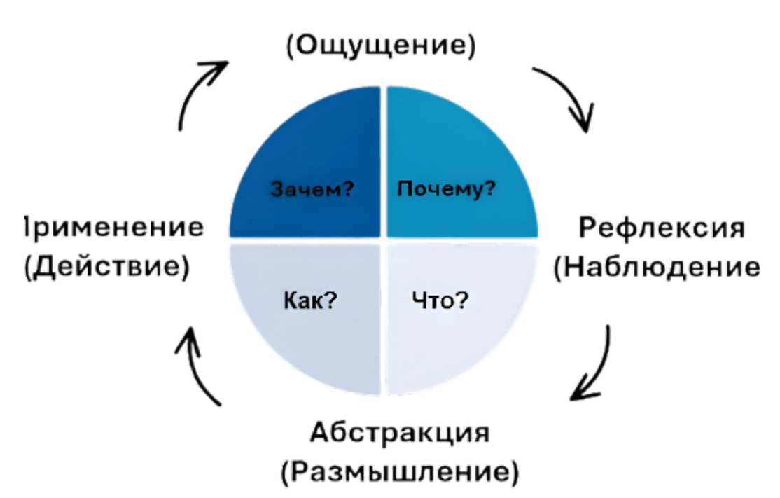 Графическое представление системы 4MAT, включающее измерения восприятия и обработки