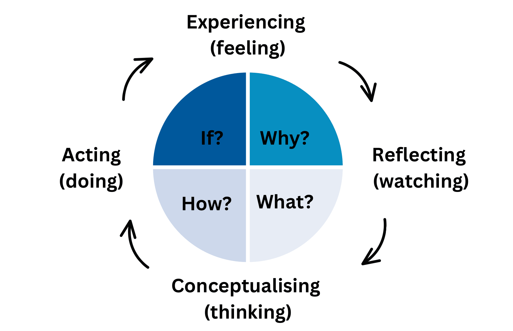 Graphical representation of the 4MAT system with perception and processing dimensions