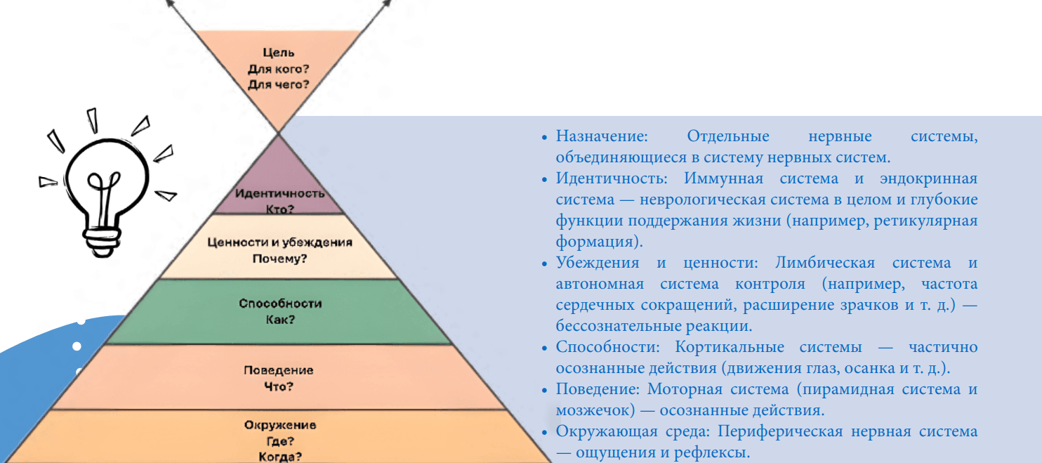 Наблюдение за неврологическими уровнями