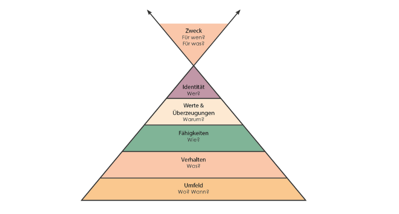 Observación de los niveles neurológicos