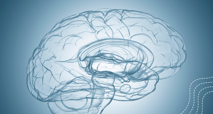 PNL y neurodidáctica