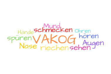 Repräsentationssysteme (VAKOG)
