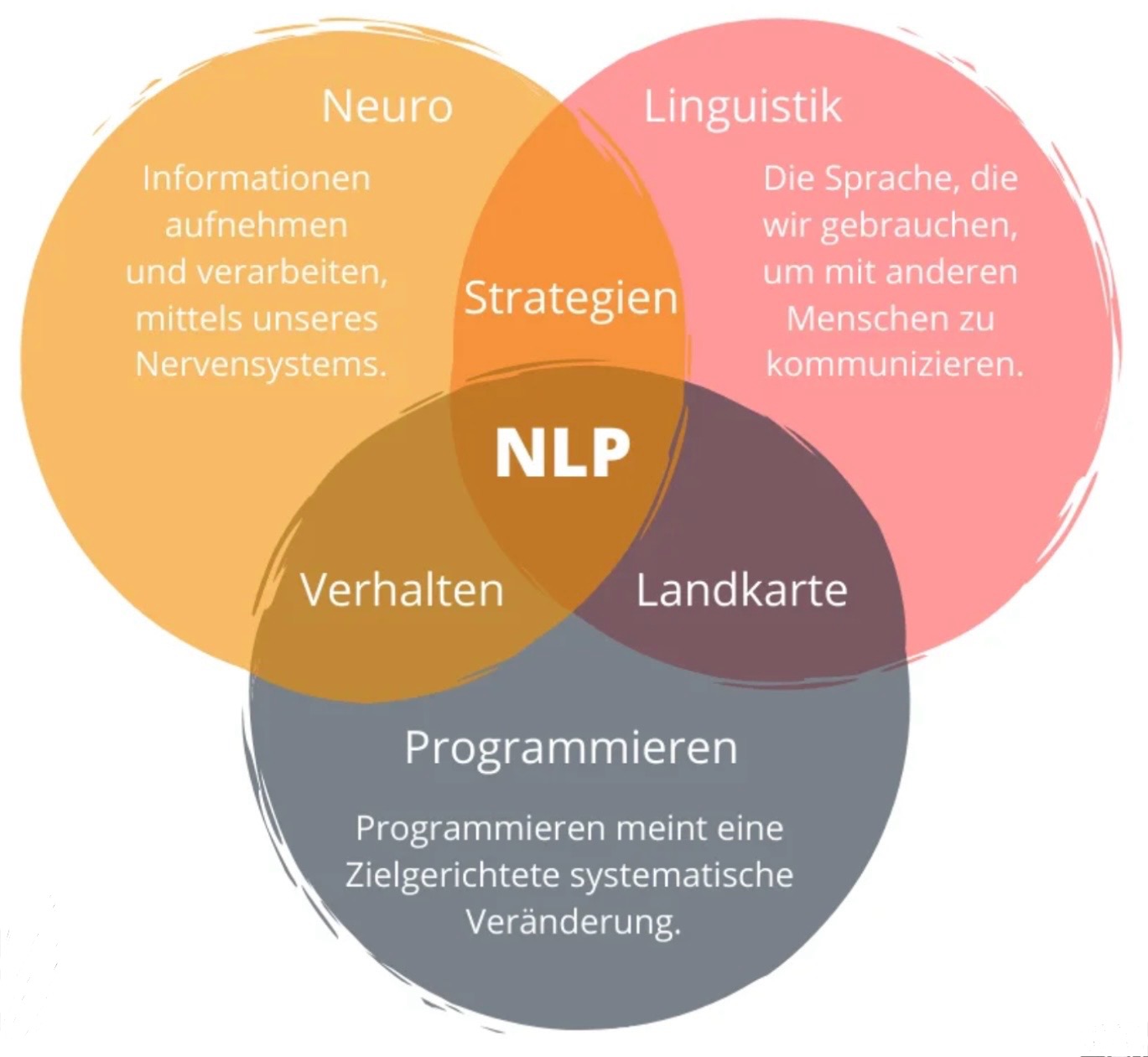 NLP-Einführungskurs