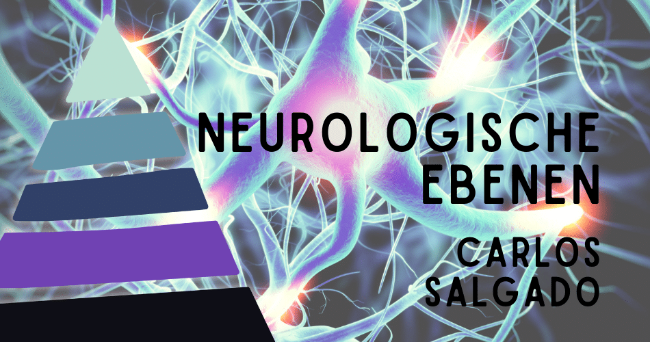 Neurologische Ebenen mit Carlos Salgado