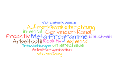 Meta-Programme