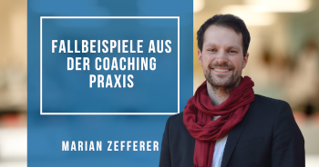Fallbeispiele aus der Coaching-Praxis (Storytelling)