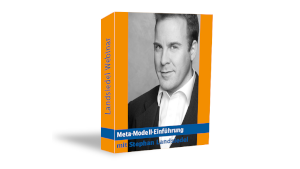 Meta-Modell Webinare*