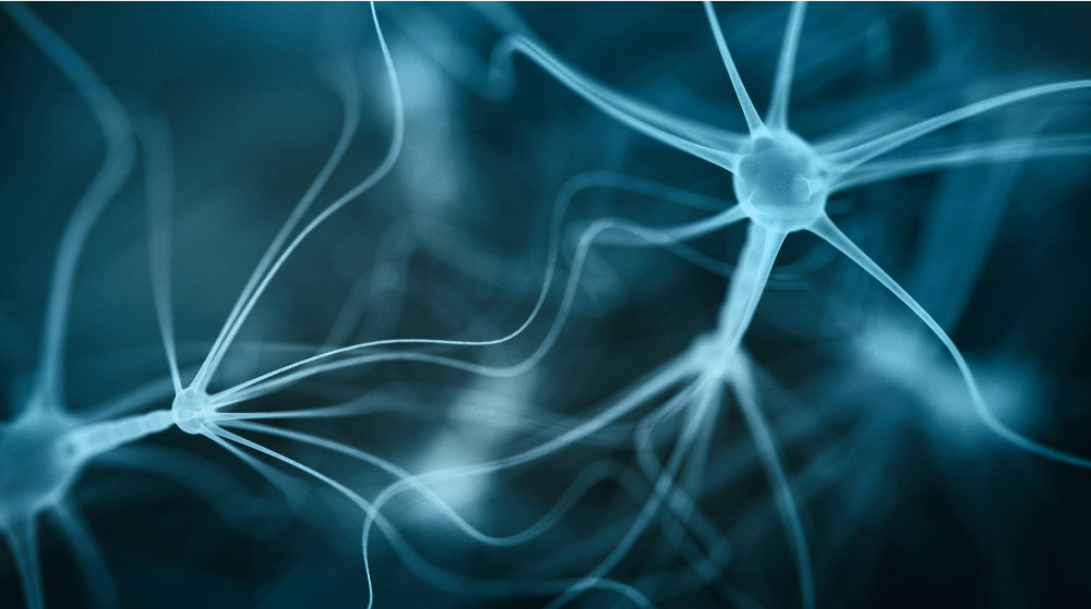 A close-up of an abstract neural network.