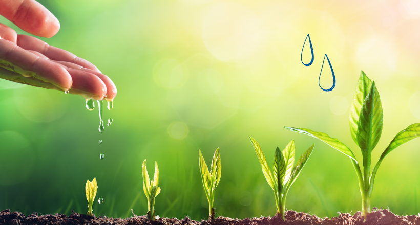 Resources for New Goals - In the Garden of Resources for Your Own Business